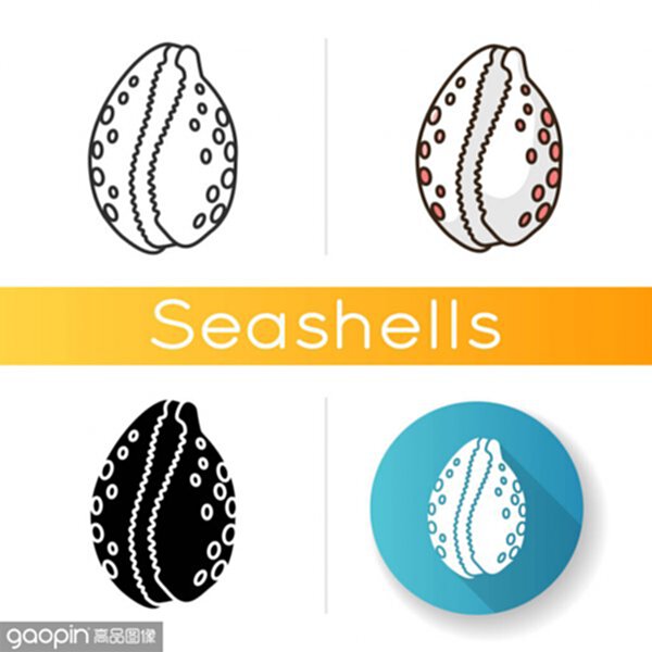 seashells,seashells的中文翻译