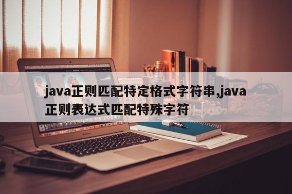 java正则匹配特定格式字符串,java正则表达式匹配特殊字符