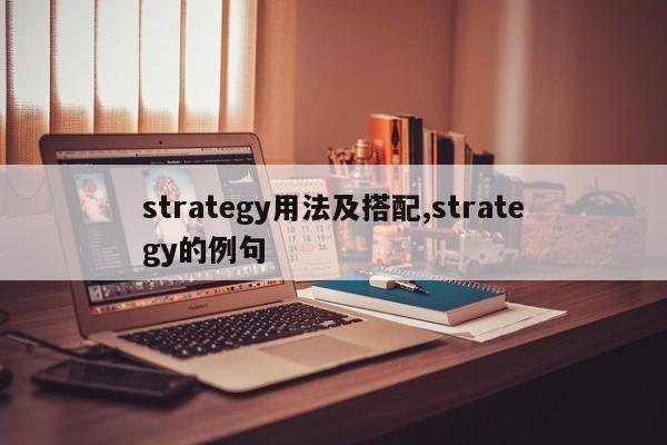 strategy用法及搭配,strategy的例句