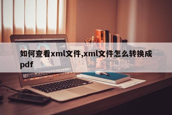 如何查看xml文件,xml文件怎么转换成pdf